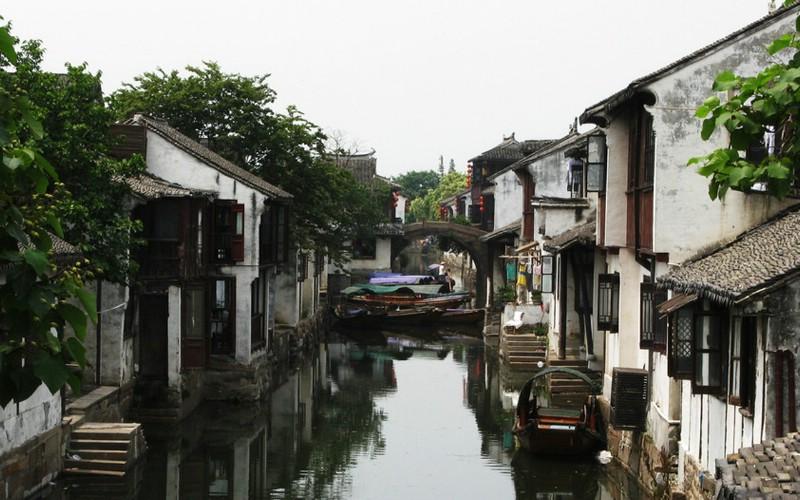 强大的狮子拼图